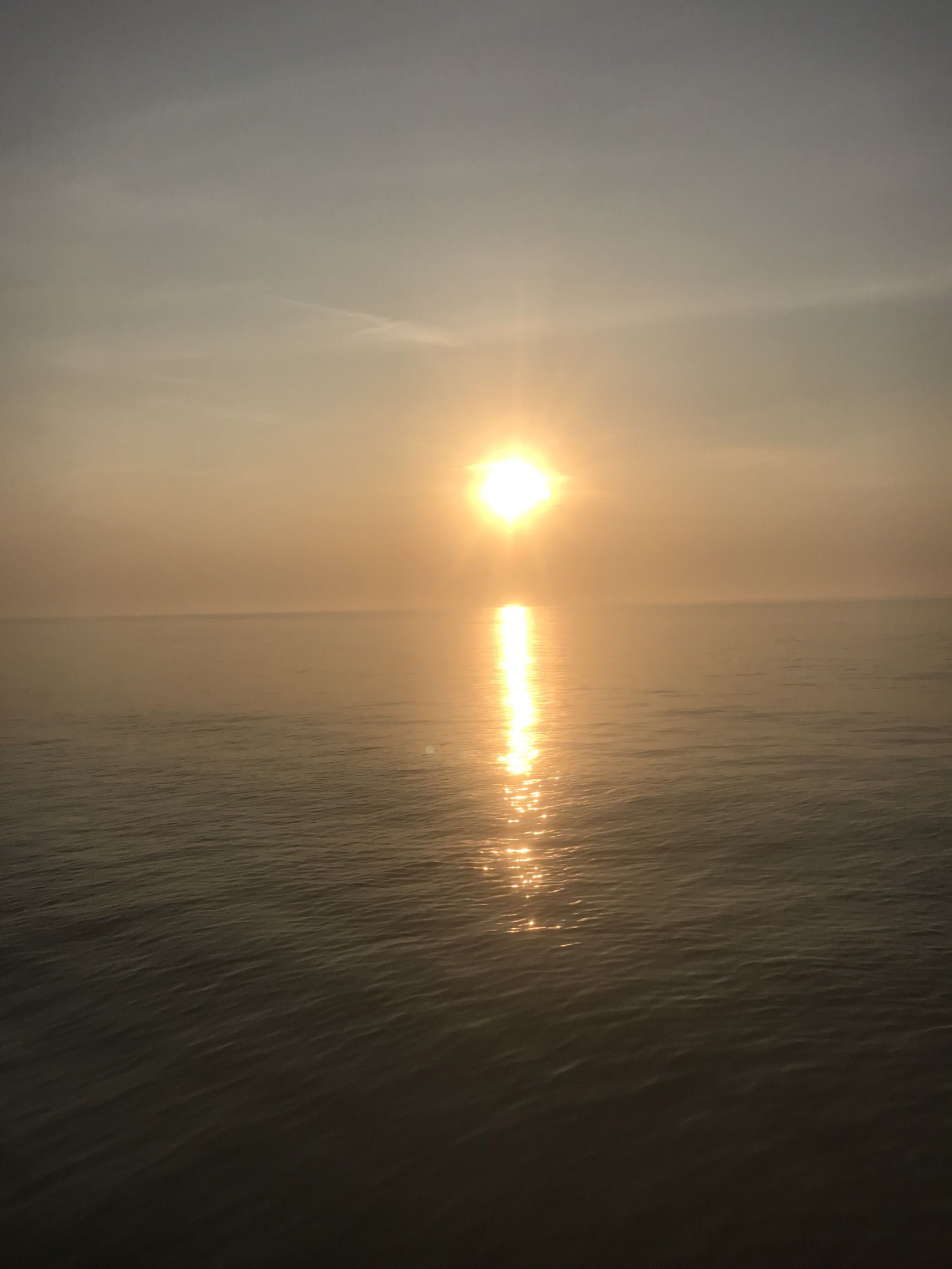 under 10 trawler wanted — photo 1