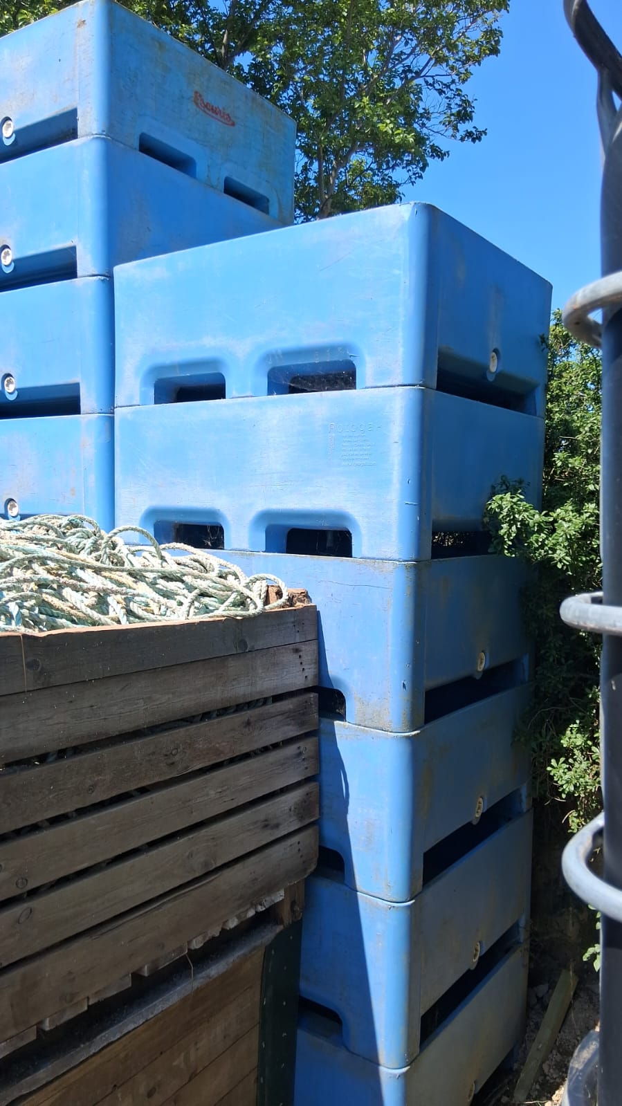 Aquaculture purification tanks
